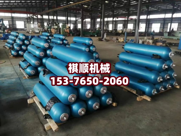 BPW110.0101-5喷雾泵柱塞密封 交替阀组件