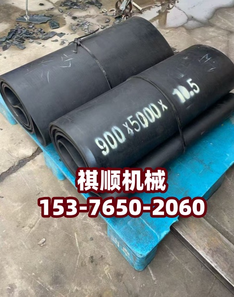 带式给煤机厂家  GLD2000给煤机阻燃环形皮带阻燃